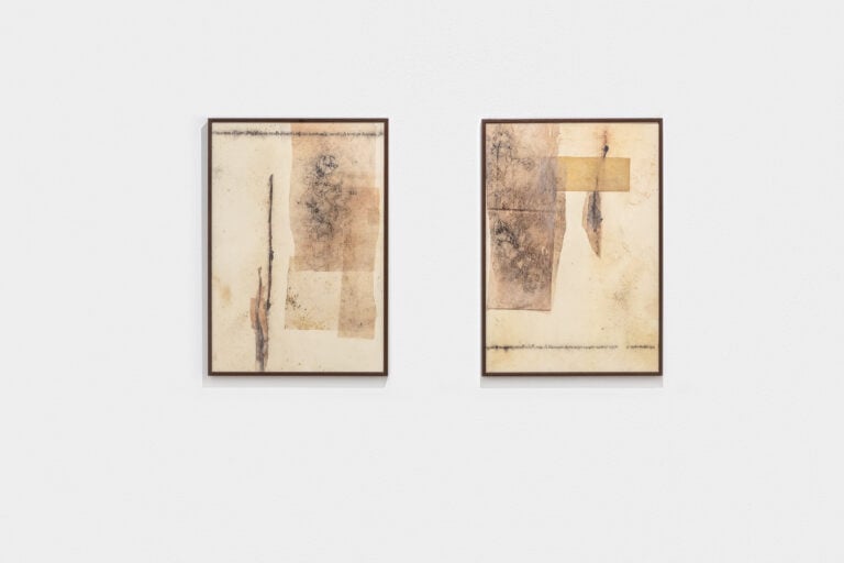 Silvia Infranco, Giusquiamo (sx) e Belladonna (dx), 2023, collage con ossidi, pigmenti, carta velina, 50x36 cm