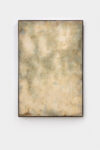 Silvia Infranco, Herbaria, Salvia, 2023, ossidi, pigmenti, bitume, cera su tavola, 120x80 cm