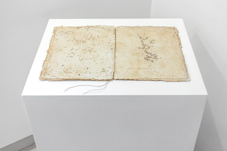 Silvia Infranco, Libro d’artista, salvia fumigazioni, 2023, salvia, carta fatta a mano, 31x42 cm