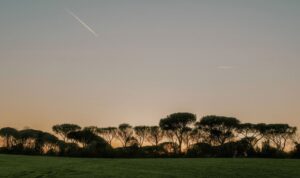 5 grandi scrittori immaginano come sarà Roma tra 50 anni