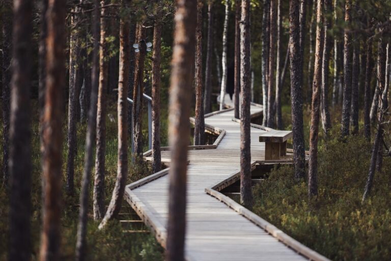 Nel Sud dell'Estonia. Photo Silver Gutmann