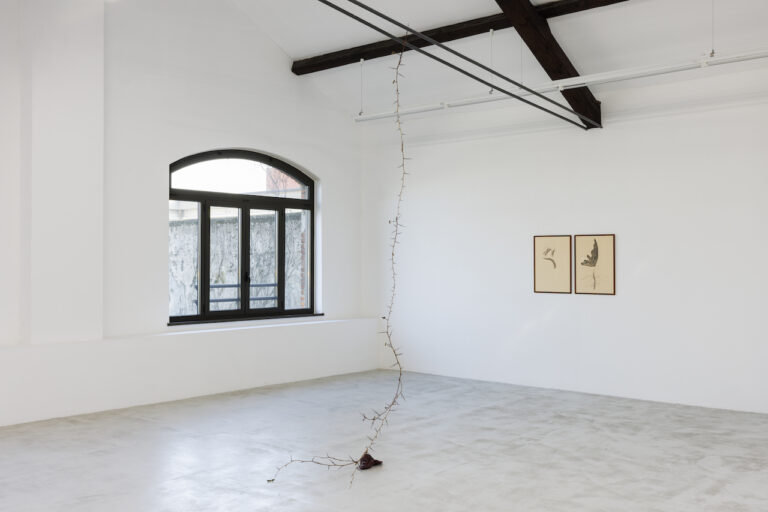 After Reminiscence, installation views at Cassina Projects, 2024. Courtesy Cassina Projects. Photo Roberto Marossi