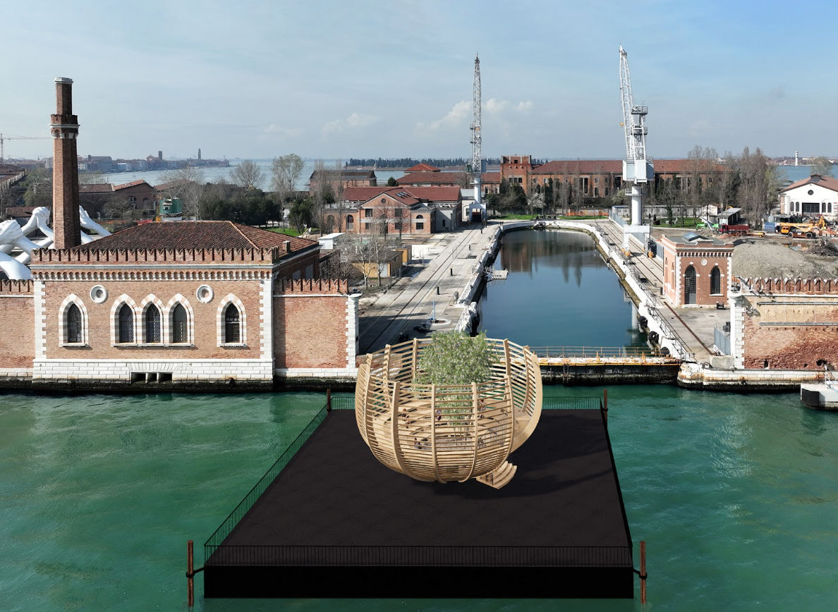 “Arena for a Tree” di Klaus Littmann alla Biennale di Venezia 2024