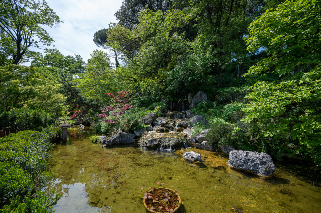 All’Orto Botanico di Roma festa di primavera sulle tracce di Marco Polo. Con visita alla Biblioteca storica