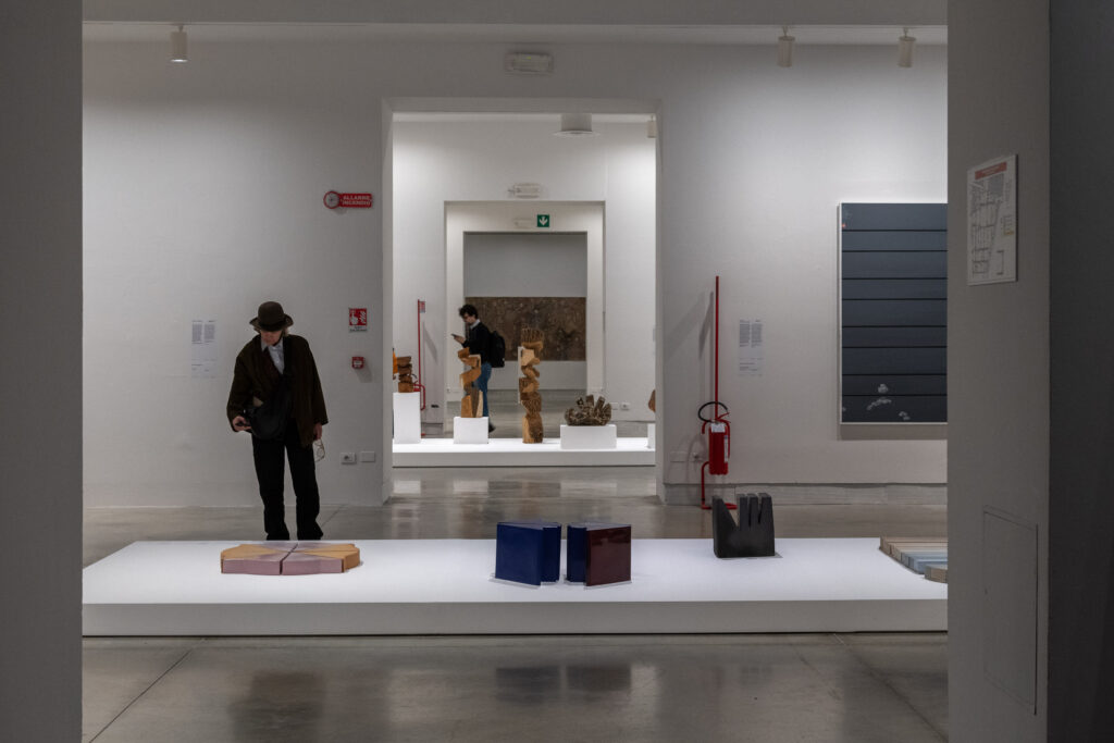 biennale 2024 ph irene fanizza 14 La Biennale di Venezia curata da Pedrosa? Trionfo dello shabby chic e della didascalia 