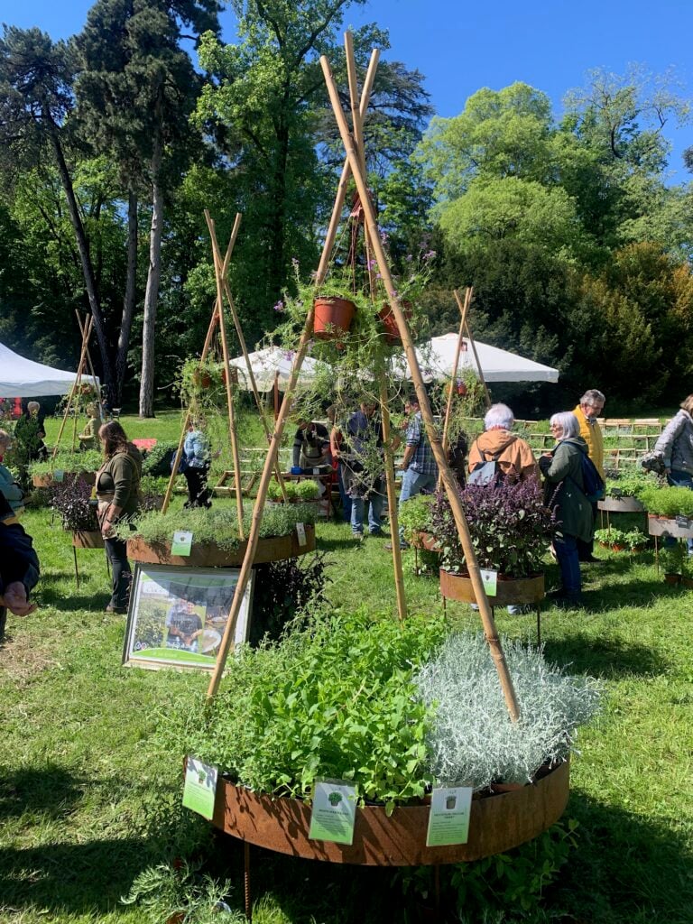 11castello di masinofoto claudia zanfi Con il FAI tre giorni di artigianato e botanica al Castello di Masino in Piemonte