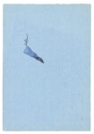 Banhart Devendra Utitled 2006 inchiostro su carta album 21x14,5 cm scansione disegno, Courtesy the artist and the gallery