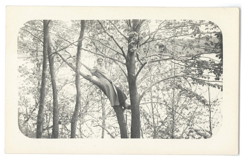 Un libro fatto di foto di donne che si arrampicano sugli alberi