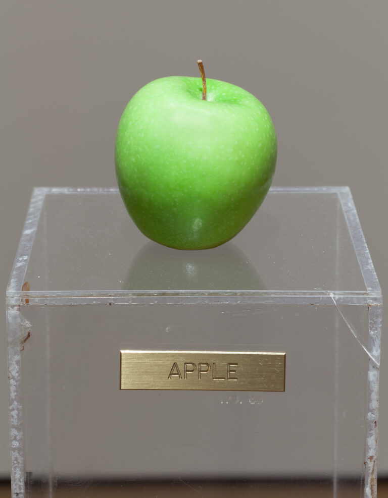 Yoko Ono: One Woman Show, 1960-1971 at MoMA NYC 2015. "Apple"