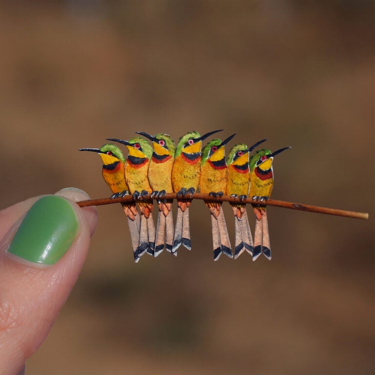 Small Is Beautiful, The Paper Ark, Little bee eater ©The Paper Ark