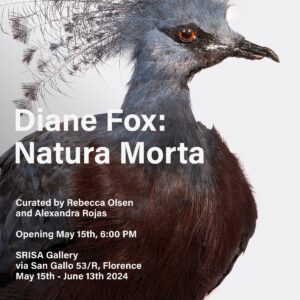 Diane Fox - Natura Morta