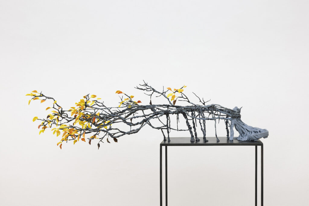 Nella mostra di Federico Tosi a Milano i bonsai si ribellano