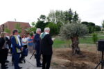 Inaugurazione del Bosco delle Neofite, benedizione dell’ulivo. © 2024 Associazione Arte Continua