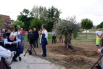 Inaugurazione del Bosco delle Neofite, benedizione dell’ulivo. © 2024 Associazione Arte Continua