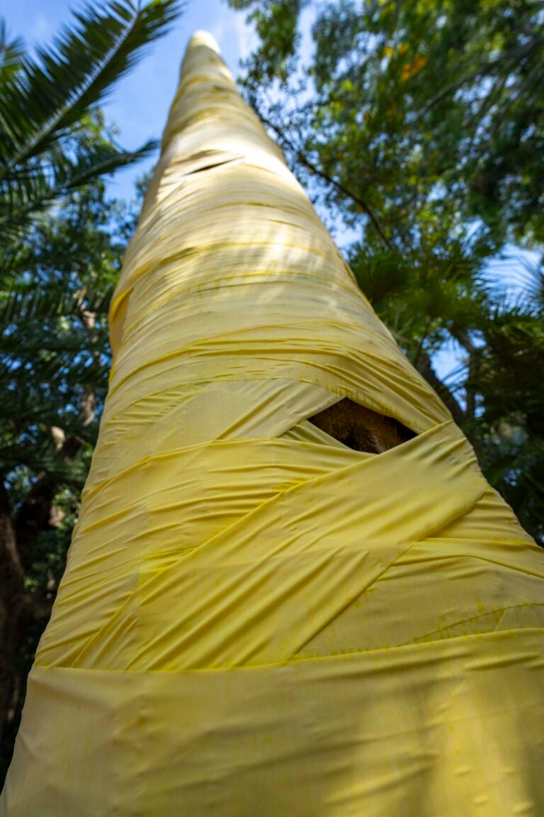 Joseph La Piana, Frequency, exhibition view at Orto Botanico Corsini, Porto Ercole, 2024