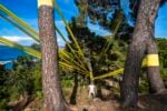 Joseph La Piana, Frequency, exhibition view at Orto Botanico Corsini, Porto Ercole, 2024