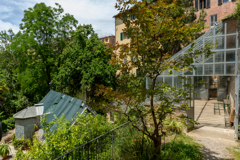 Sowing the Seed of Care, exhibition view at Orto Botanico, Siena. Photo Ela Bialkowska, OKNO studio