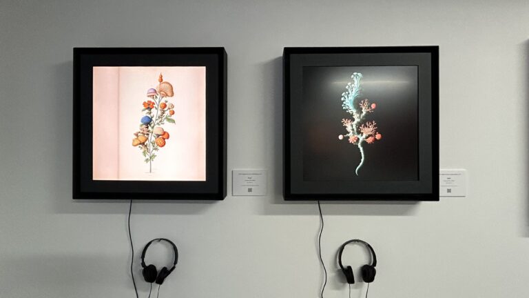 The Digital Art Mile, Cinello, exhibition view. fuse*, Unseen Flora .ET02. Courtesy of fuse* and Cinello Unlimited