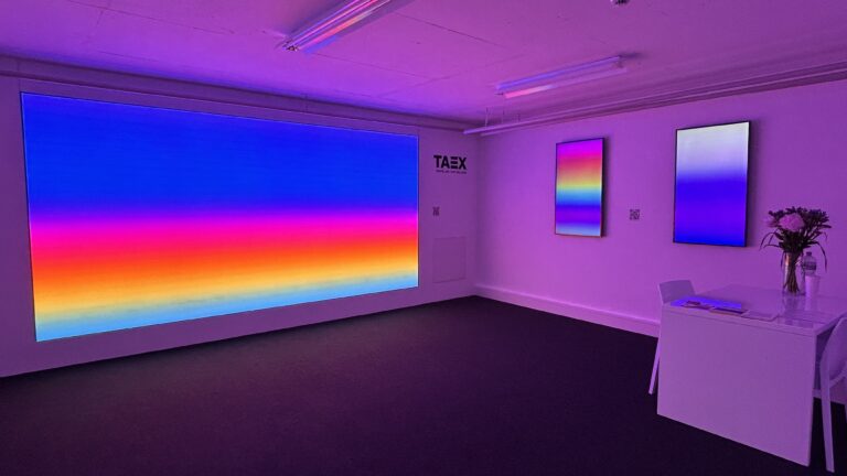 The Digital Art Mile, TAEX, exhibition view. Photo Laura Cocciolillo