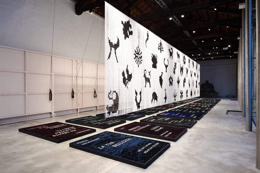 Codice Umano, Installation View Centro Arti Visive Pescheria, photo credit Michele Alberto Sereni