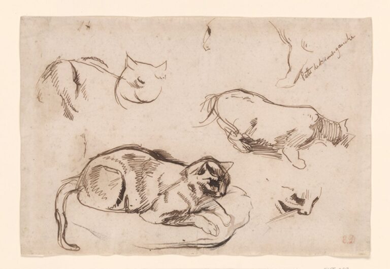 Eugène Delacroix French, 1798–1863 Studies of a Cat, 1830s Pen and brown ink and wash Thaw Collection, The Morgan Library & Museum, 2017.69. Photography by Steven H. Crossot.