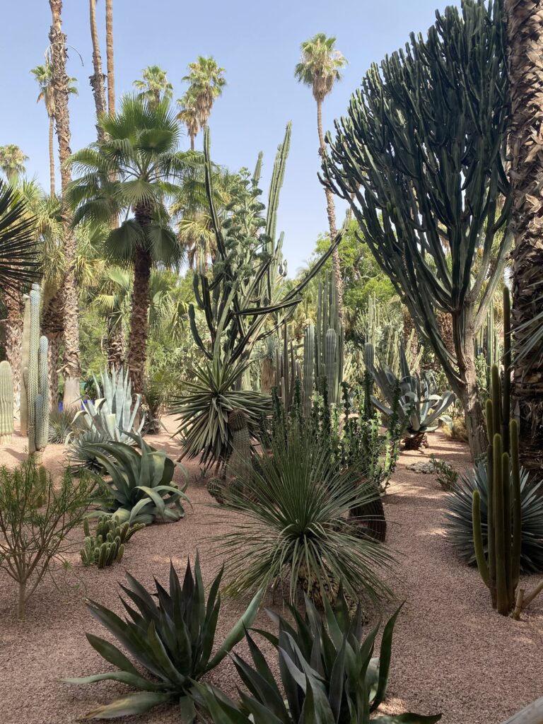 jardin majorelle photo giulia giaume 2 1 Cento anni di Jardin Majorelle a Marrakech. La storia del famoso giardino
