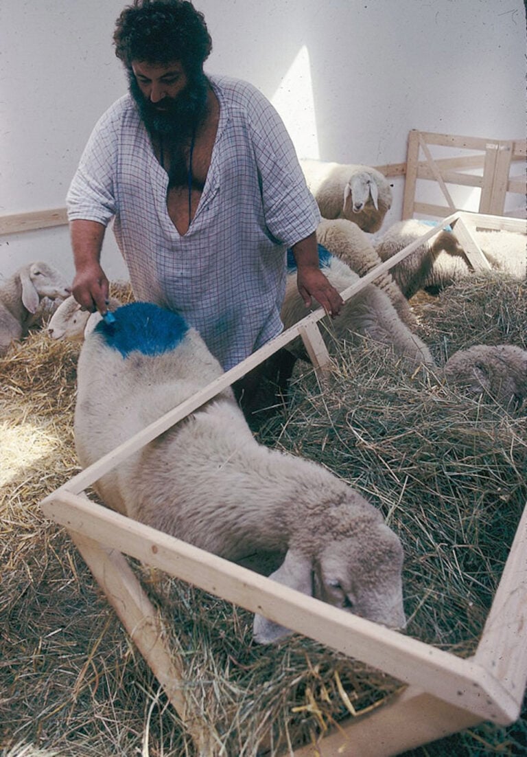 Kadishman dipinge una pecora di blu, Biennale di Venezia, 1978. Courtesy Menashe Kadishman Estate