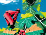 lillustrazione di antonio pronostico credit fiuto art space Nelle Marche la cooperativa vitivinicola che parla del territorio tra vino, arte e beneficenza