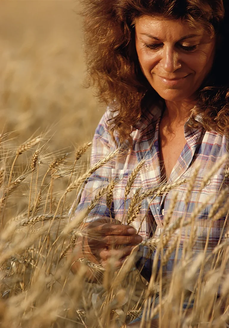 agnes denes wheatfield a confrontation battery park landfill lower manhattan with agnes denes in the field 1982 c agnes denes courtesy leslie tonkonow artworks projects Il campo di grano dell'artista Agnes Denes di fronte alla fiera di Basilea ora è pronto per la mietitura