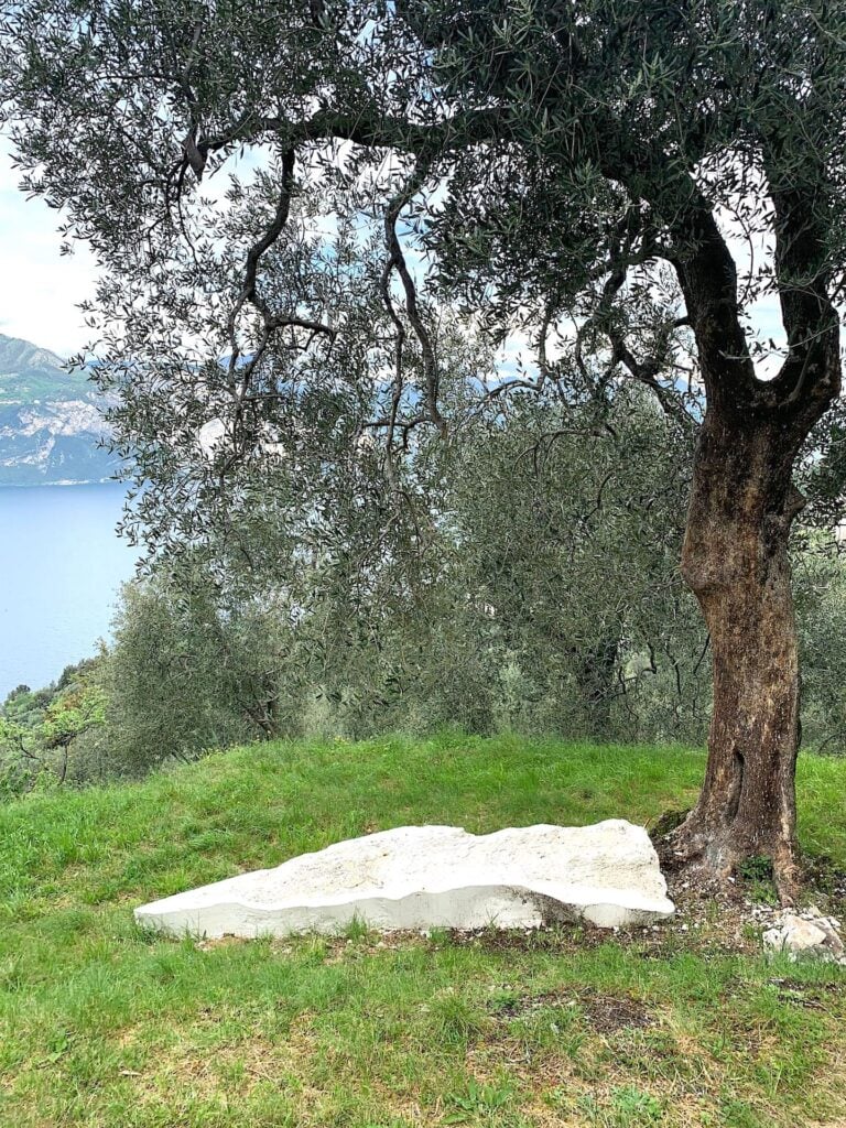 Campo dell'Arte, Brenzone