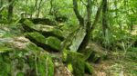 falterona1 Un dialogo tra arte contemporanea e natura nel borgo toscano de Il Castagno d'Andrea 