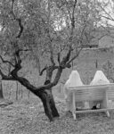 Fulvio Roiter, Gubbio, 1954; credits Archivio Fulvio Roiter