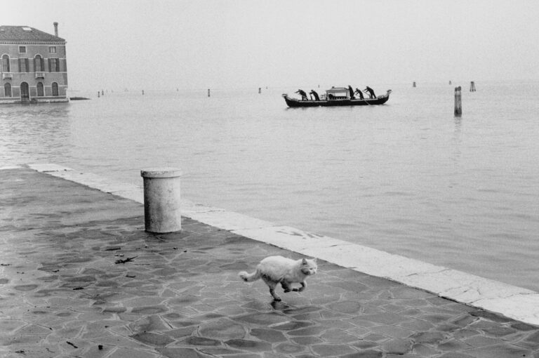 Gianni Berengo Gardin, Venezia, 1960