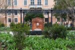 Giardini Reali di Venezia. Photo Irene Fanizza