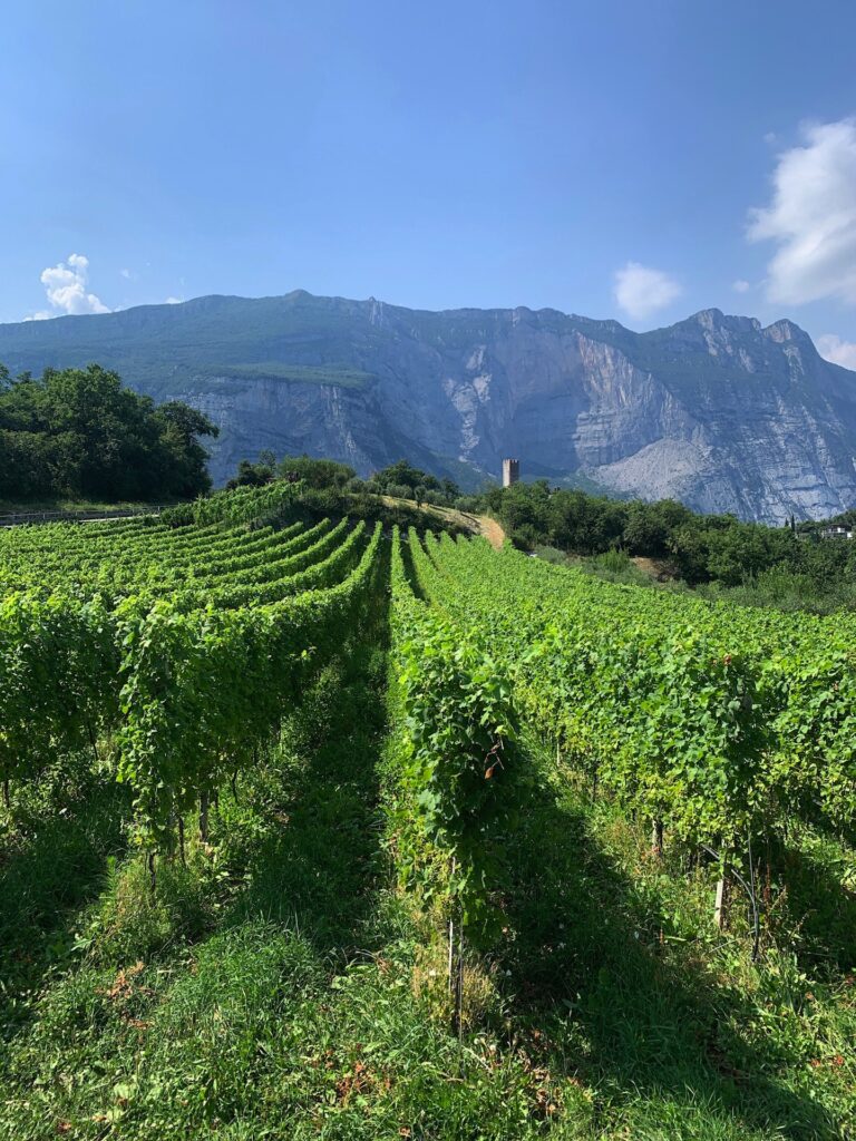 Lago di Garda. Photo Claudia Zanfi