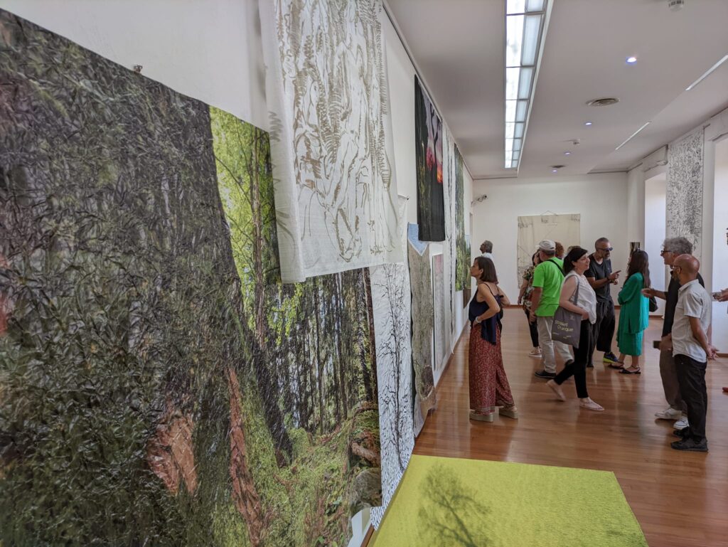 Premio Michetti 2024, exhibition view at Palazzo San Domenico, Francavilla al Mare