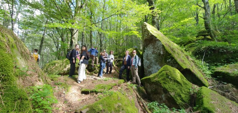 studenti accademia durante il sopralluogo Un dialogo tra arte contemporanea e natura nel borgo toscano de Il Castagno d'Andrea 