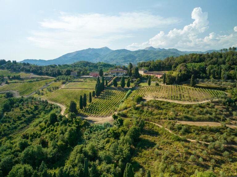 Tenuta di Forci, Lucca