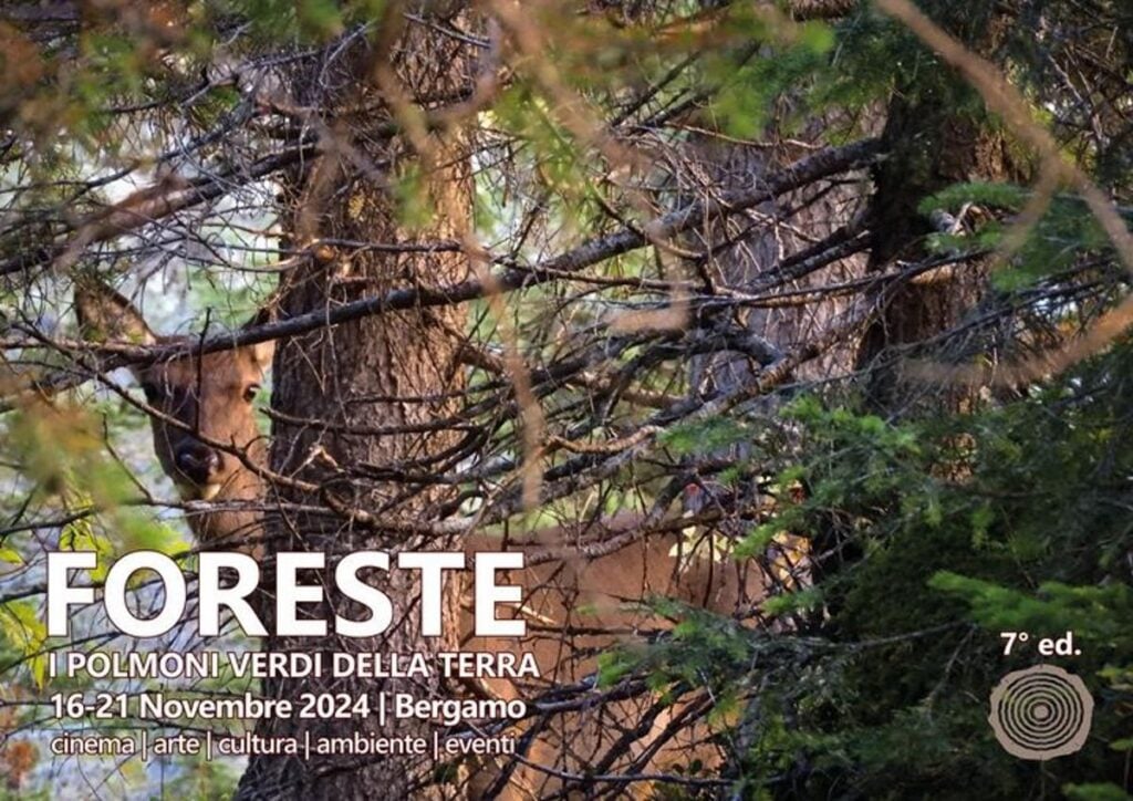 2 concorso cinematografico delle foreste Lavorare nell’arte: opportunità da Ritratto a mano, Abitare l'Archivio, Scripta. L’arte a parole