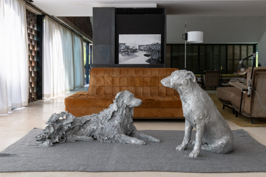 Cani (Bruno e Tre) [Dogs (Bruno and Tre)], 2024 © Chiara Camoni. Photo © Manifesta 15 Barcelona Metropolitana, Ivan Erofeev