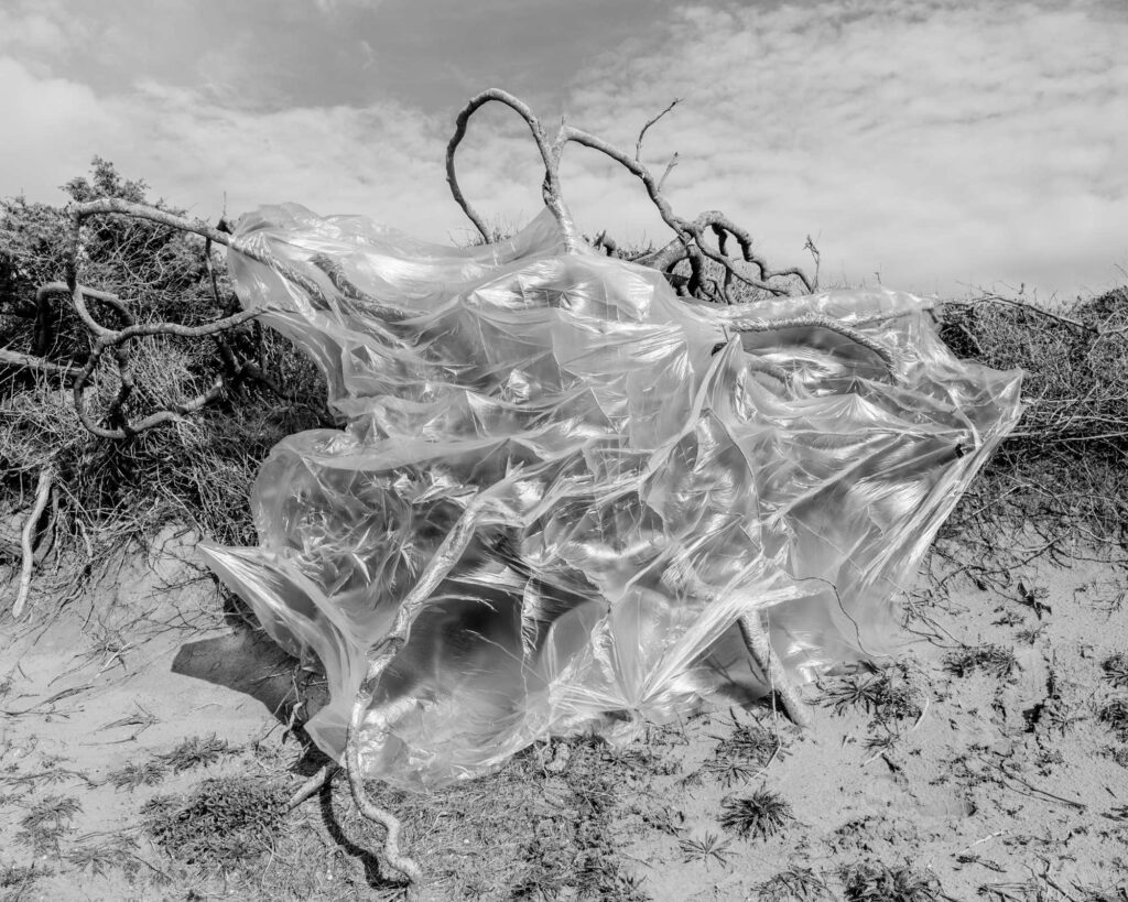 Young Photographers from Italian Academies