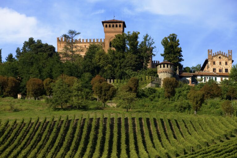 Castello di Gabiano, vigneti