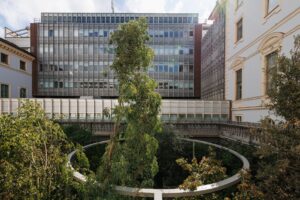 Dentro le Gallerie d’Italia a Torino nasce grande un bosco urbano 