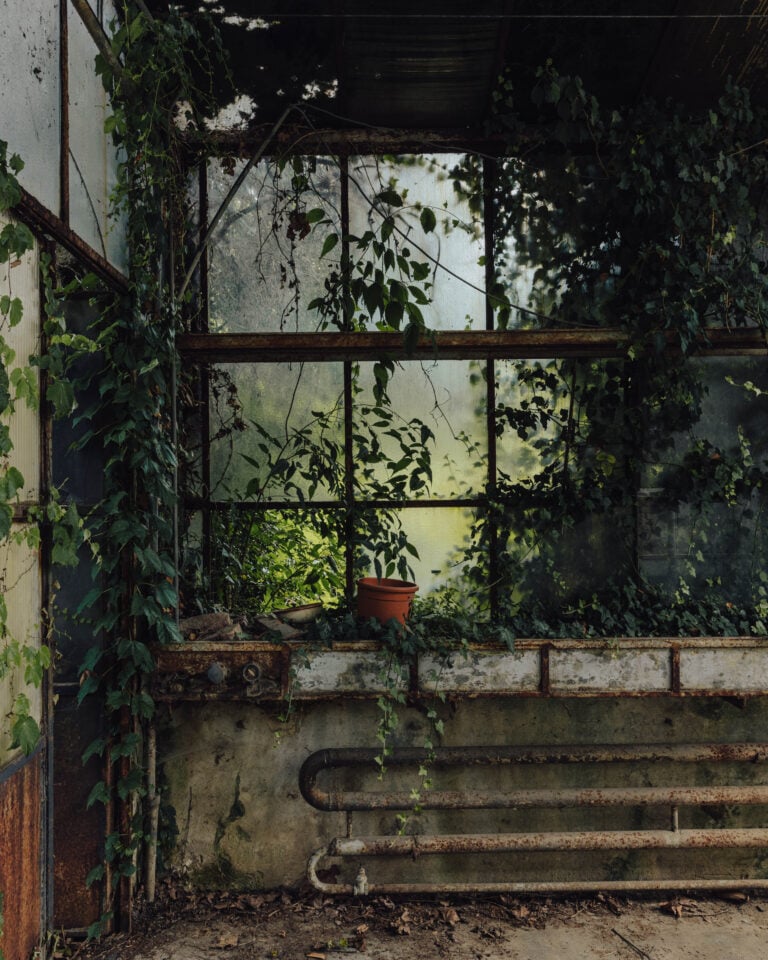 Serre Pasino, Varedo. Photo Piergiorgio Sorgetti. Courtesy Alcova