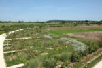 Saline royale d'Arc-et-Senans, Francia I giardini del Cercle immense