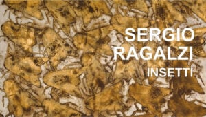 Sergio Ragalzi - Insetti