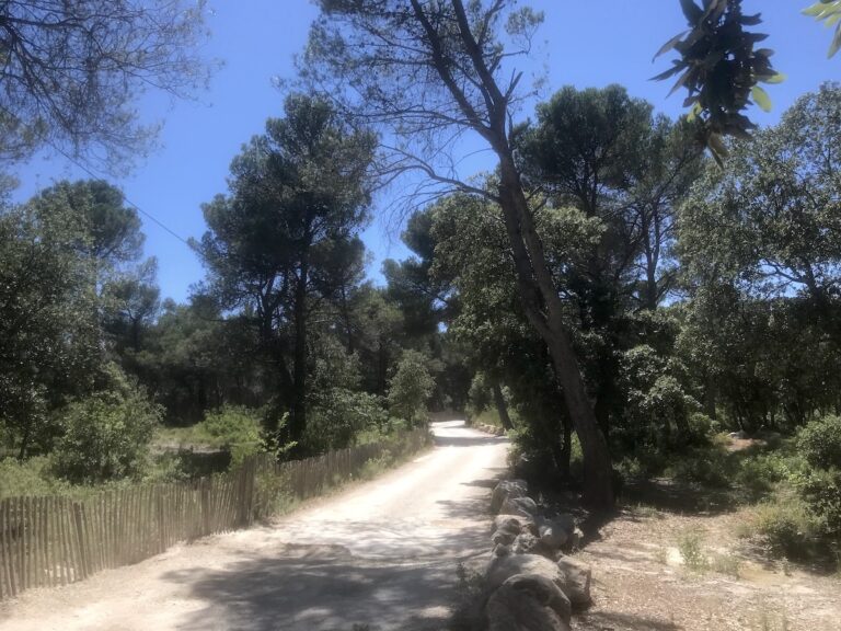 Aix en Provence, Francia. I sentieri che portano ai luoghi cezanniani nelle cave di Bibémus. Photo Dario Bragaglia