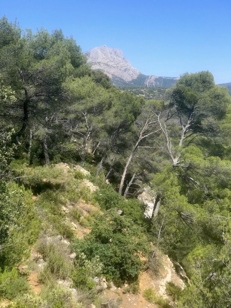 Aix en Provence, Francia. La montagne Sainte Victoire vista dalle cave Bibémus Photo Dario Bragaglia