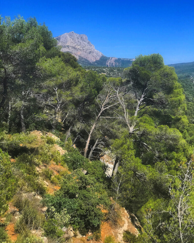 Aix en Provence, Francia. Una targa sulla facciata dell'ex Collège Bourbon ricorda l'amicizia fra Cézanne e Zola. Photo Dario Bragaglia