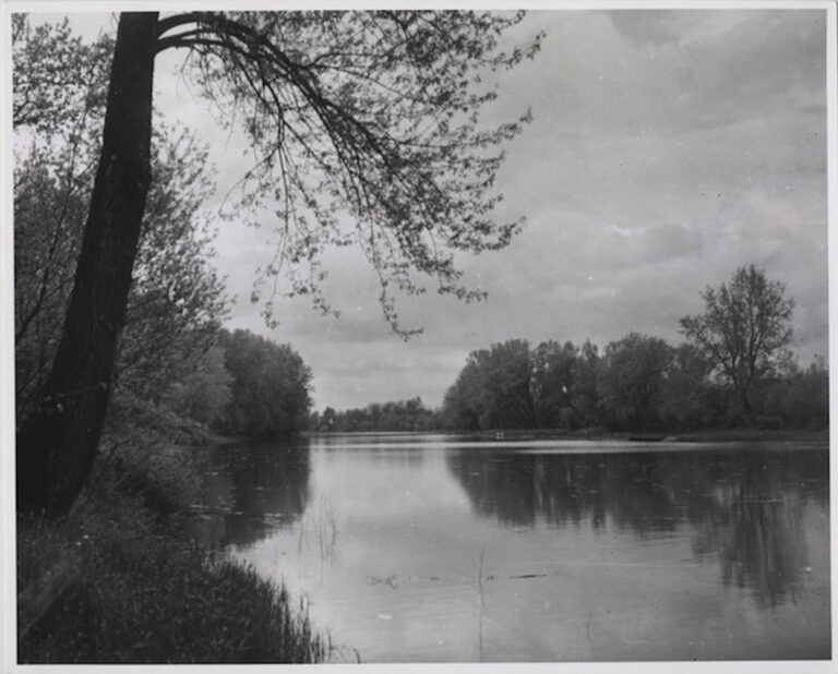 André Kertész, Szigetbecse, riflesso d’albero nel meandro ©Museo commemorativo André Kertész. Courtesy of André Kertész Memorial Museum